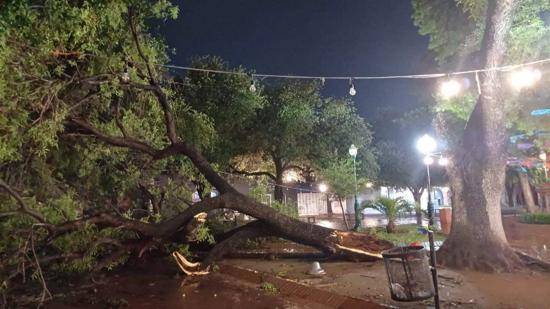 Lluvias dejan daños, inundaciones y cortes de luz en Nuevo Laredo y Reynosa